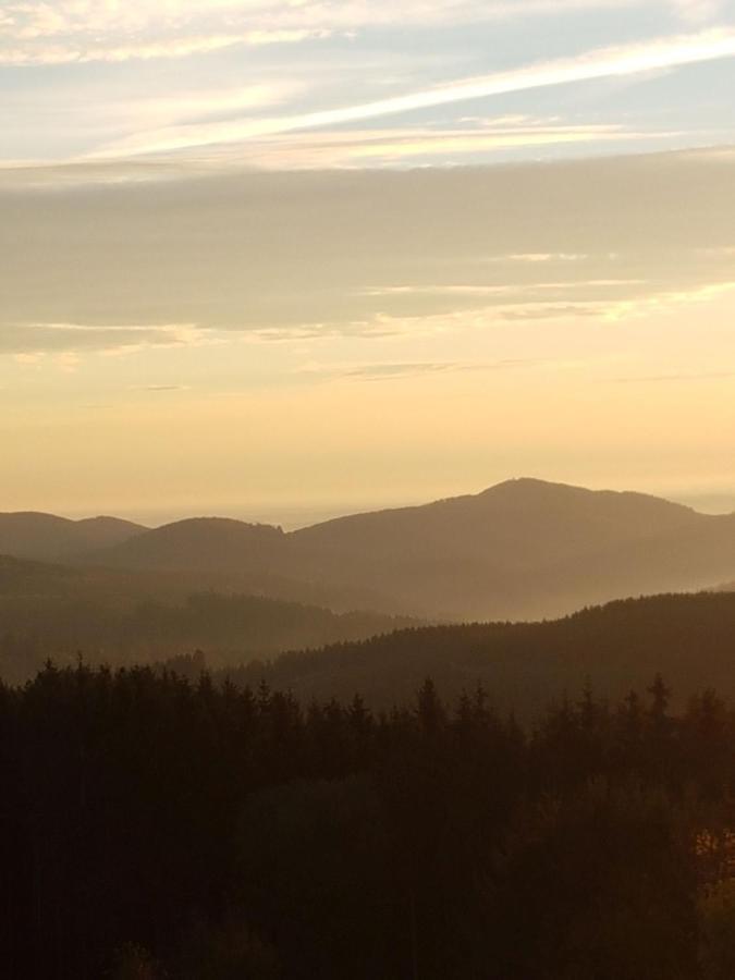 Ferienwohnung Haus Ruhrkopfblick Winterberg Eksteriør billede